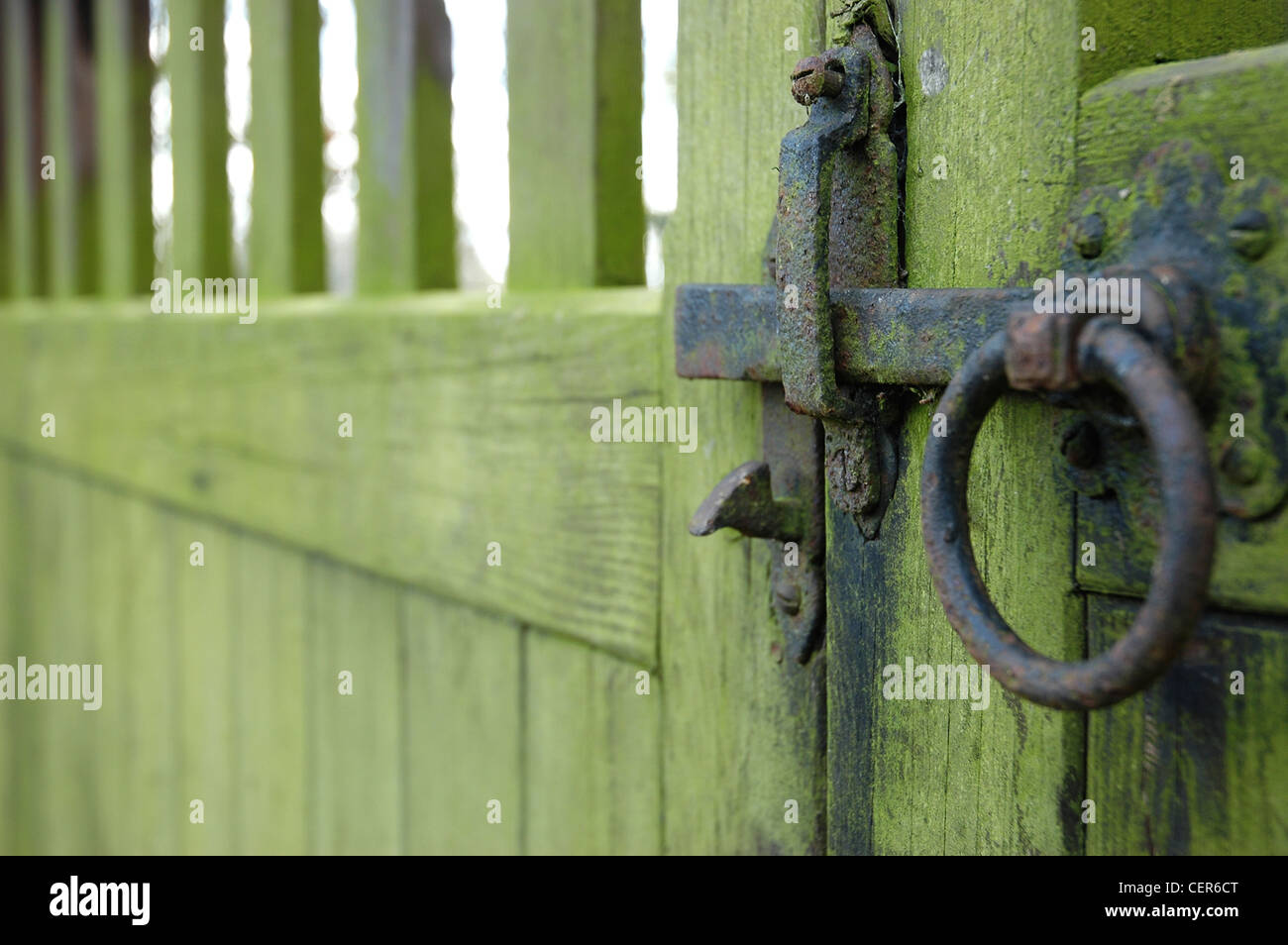 Ein Tor mit einem traditionellen Griff in Moos in der Stadt von Woodbridge Suffolk abgedeckt. Stockfoto