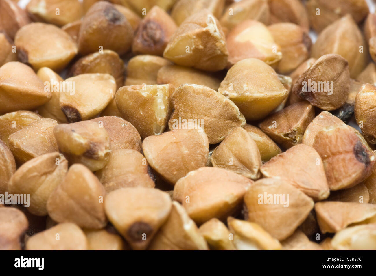 Buchweizen Stockfoto