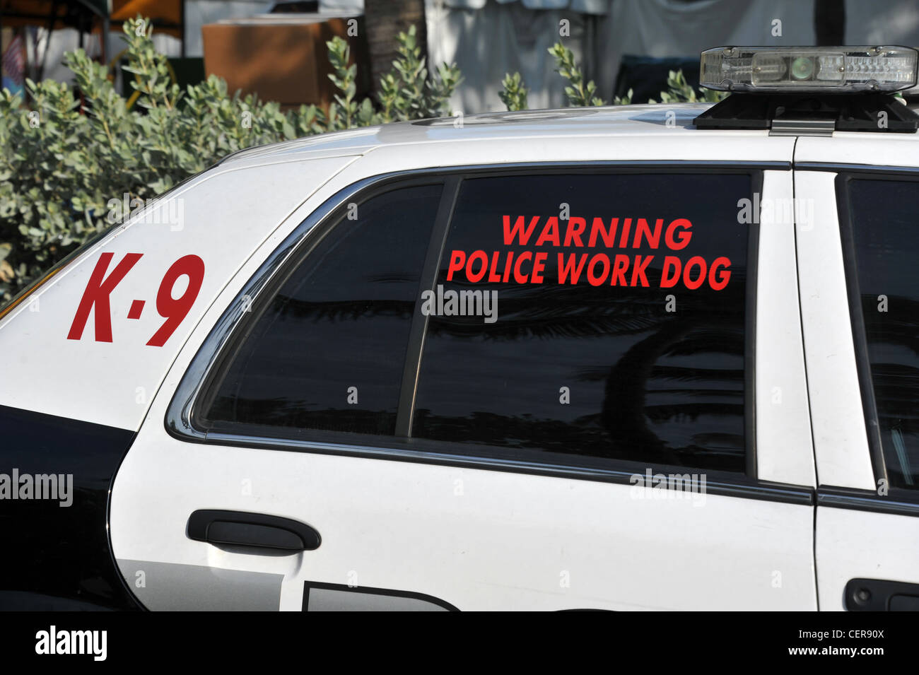 Polizei Hund Gerät, Florida, Amerika, USA Stockfoto