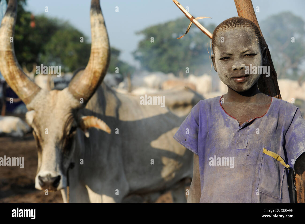 Südsudan, Bahr al Ghazal Region, Lakes State Dinka Stamm mit Zebu-Kühe in Rinder-Camp in der Nähe von Rumbek Stockfoto