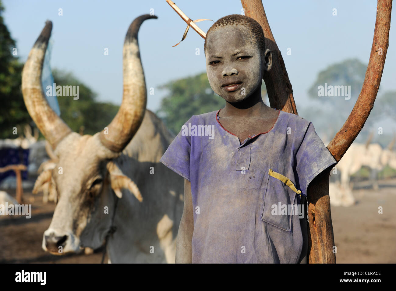 SÜDSUDAN, Region Bahr al Ghazal, Lakes State, Dinka-Stamm mit Zebu-Kühen im Viehlager bei Rumbek, junger Hirte mit aschverschmiertem Gesicht Stockfoto