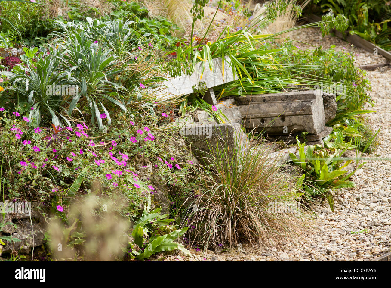 Derry Watkins Garten An Besonderen Pflanzen Stockfotos Derry
