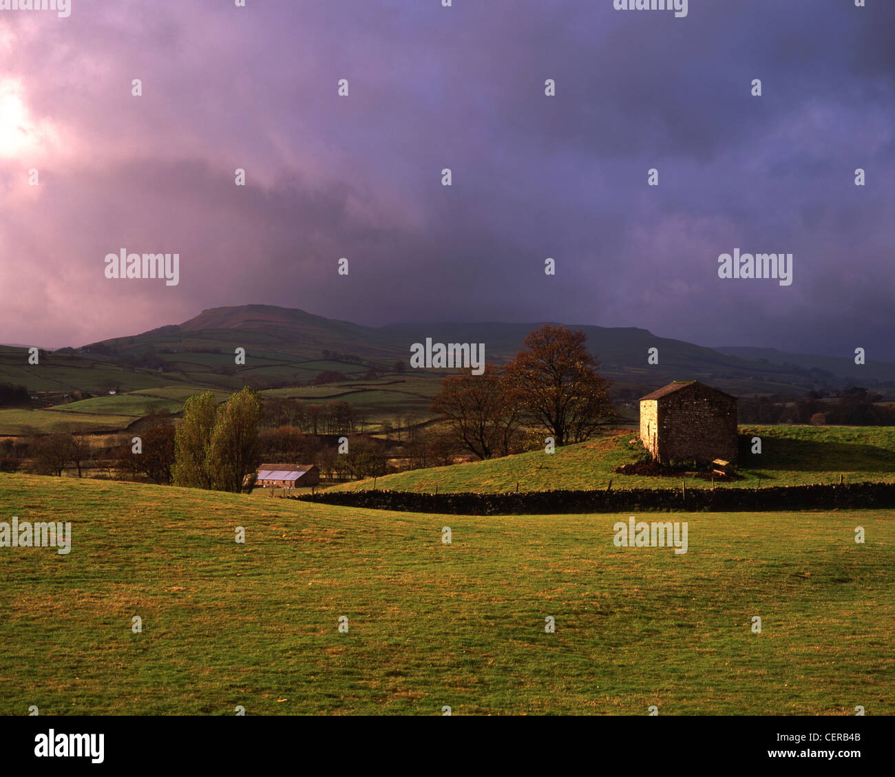 Ein Blick in Richtung Askrigg mit Wetter fiel im Hintergrund. Diese Scheune liegt in der Nähe des Dorfes Askrigg in den Yorkshire Dales Nati Stockfoto