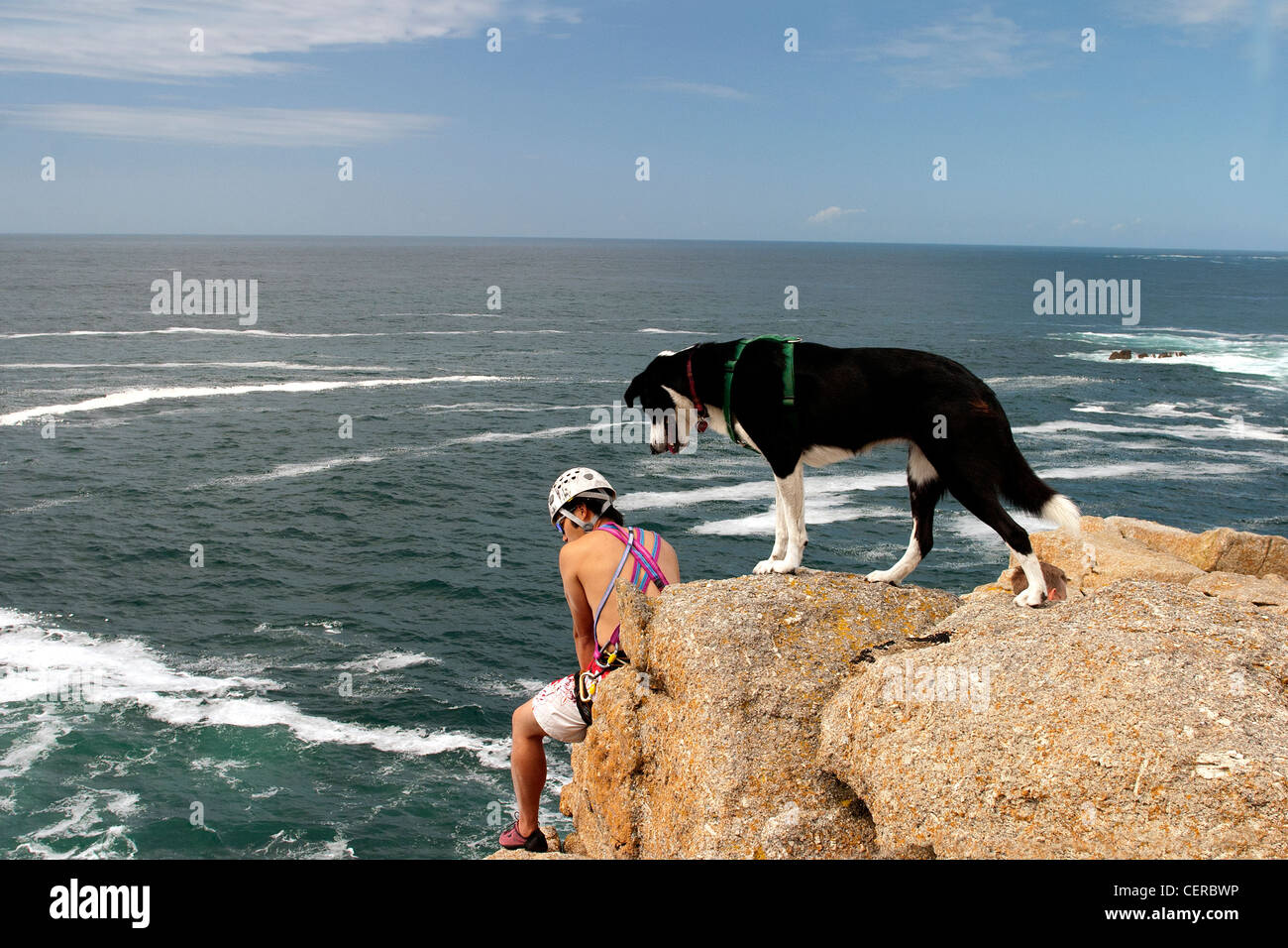 Ein Kletterer und seinen Hund angeseilt für Sicherheit und die Herausforderung der Bekämpfung der Granitfelsen bilden die Klippen am Land Cornwall Stockfoto