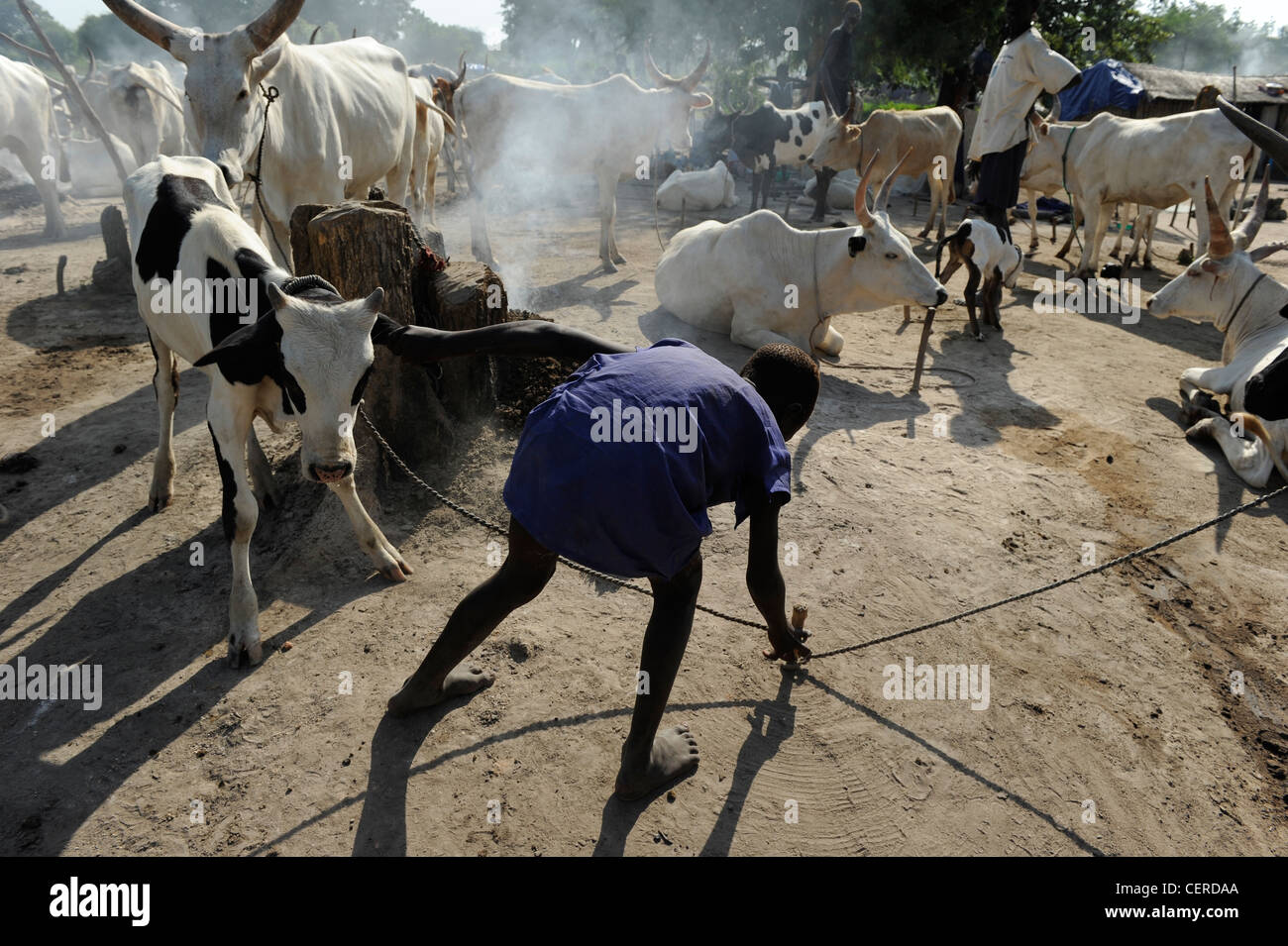 Südsudan, Bahr al Ghazal Region, Lakes State Dinka Stamm mit Zebu-Kühe in Rinder-Camp in der Nähe von Rumbek Stockfoto