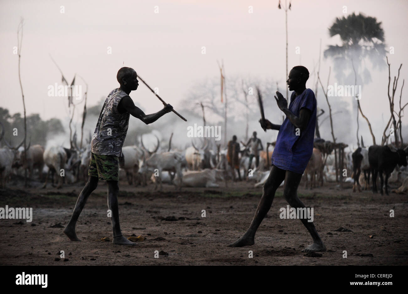 SÜDSUDAN, Region Bahr al Ghazal, Lakes State, Dinka-Stamm mit Zebu-Kühen im Viehlager in der Nähe von Rumbek, Stockkämpfe bei Sonnenaufgang Stockfoto