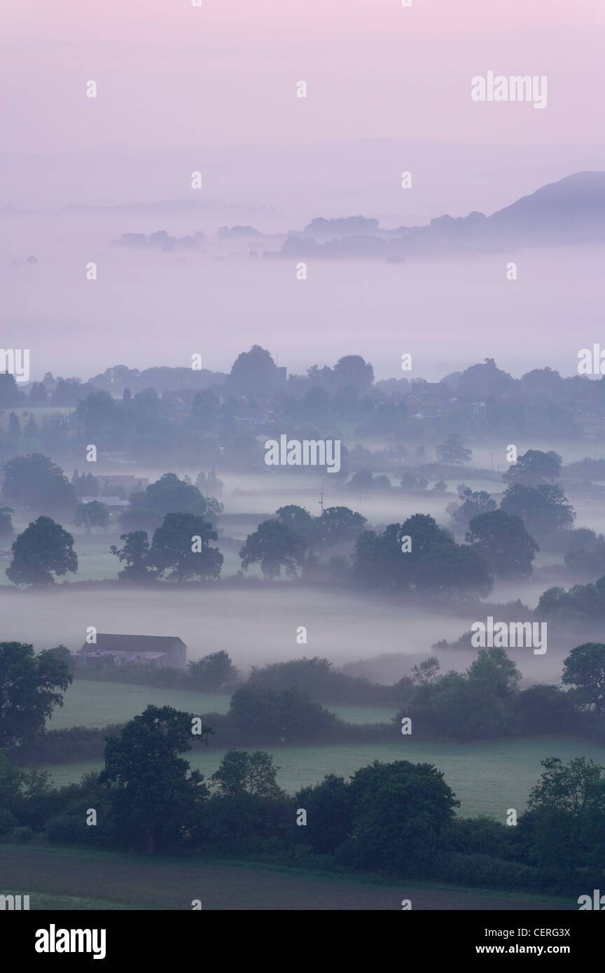 misty Dawn Blackmore Vale von Bulbarrow Hill, nr Okeford Fitzpaine, Dorset, England, UK Stockfoto