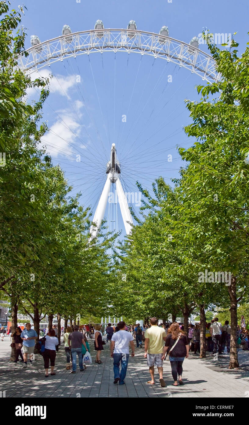 London Eye South Bank London UK Stockfoto