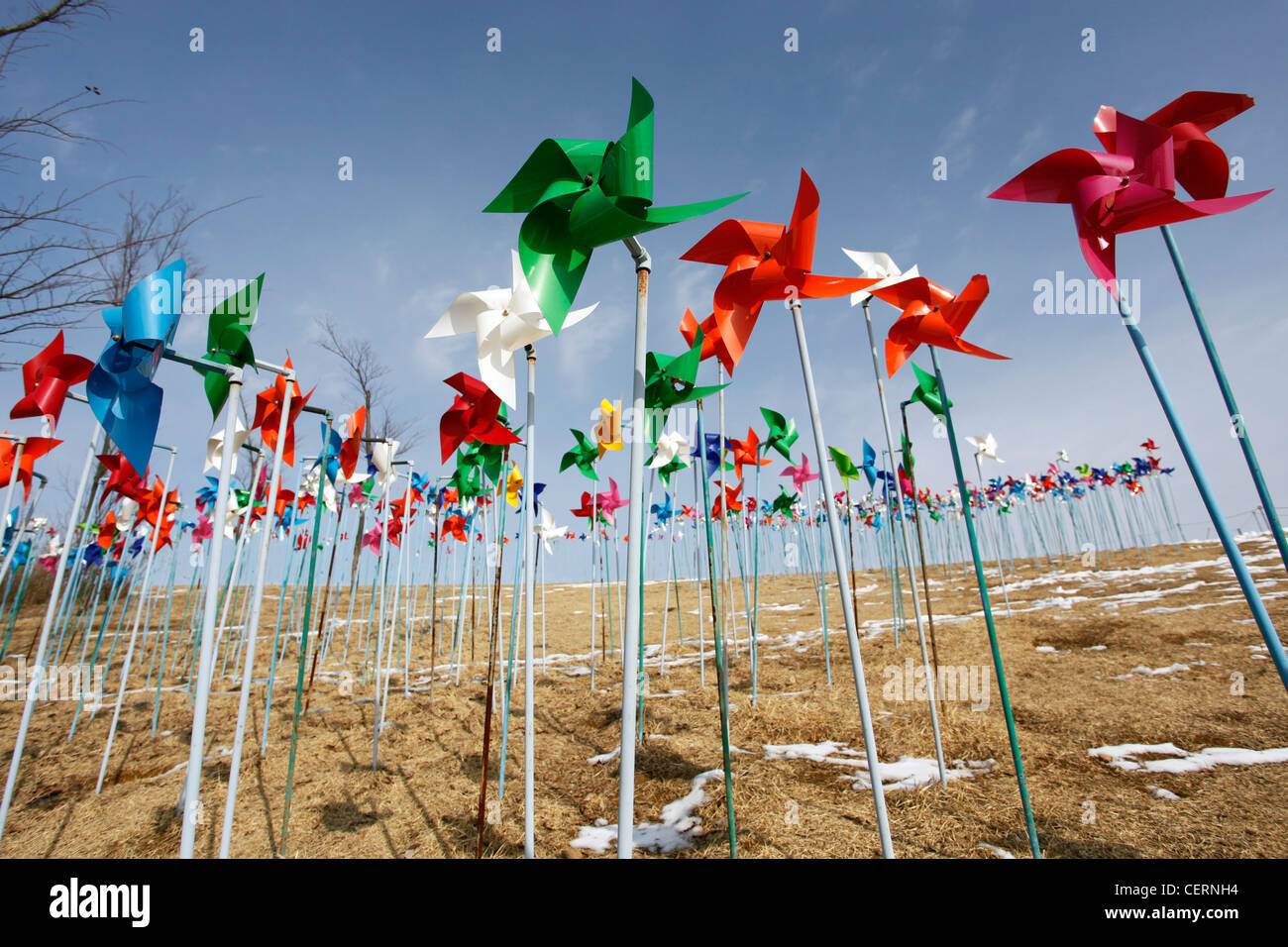Hügel des Windes mit Hunderten von bunten Plastikspielzeug Windmühlen in der DMZ, De-militarised Zone im Imjingak Park, South Korea Stockfoto