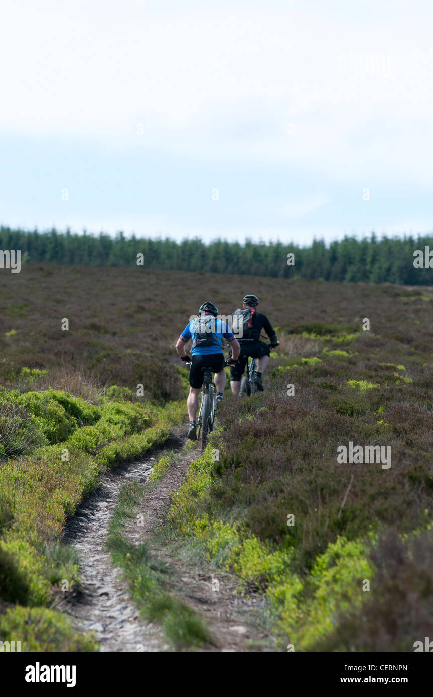 Mountainbiker auf der Offas Dyke Path Stockfoto