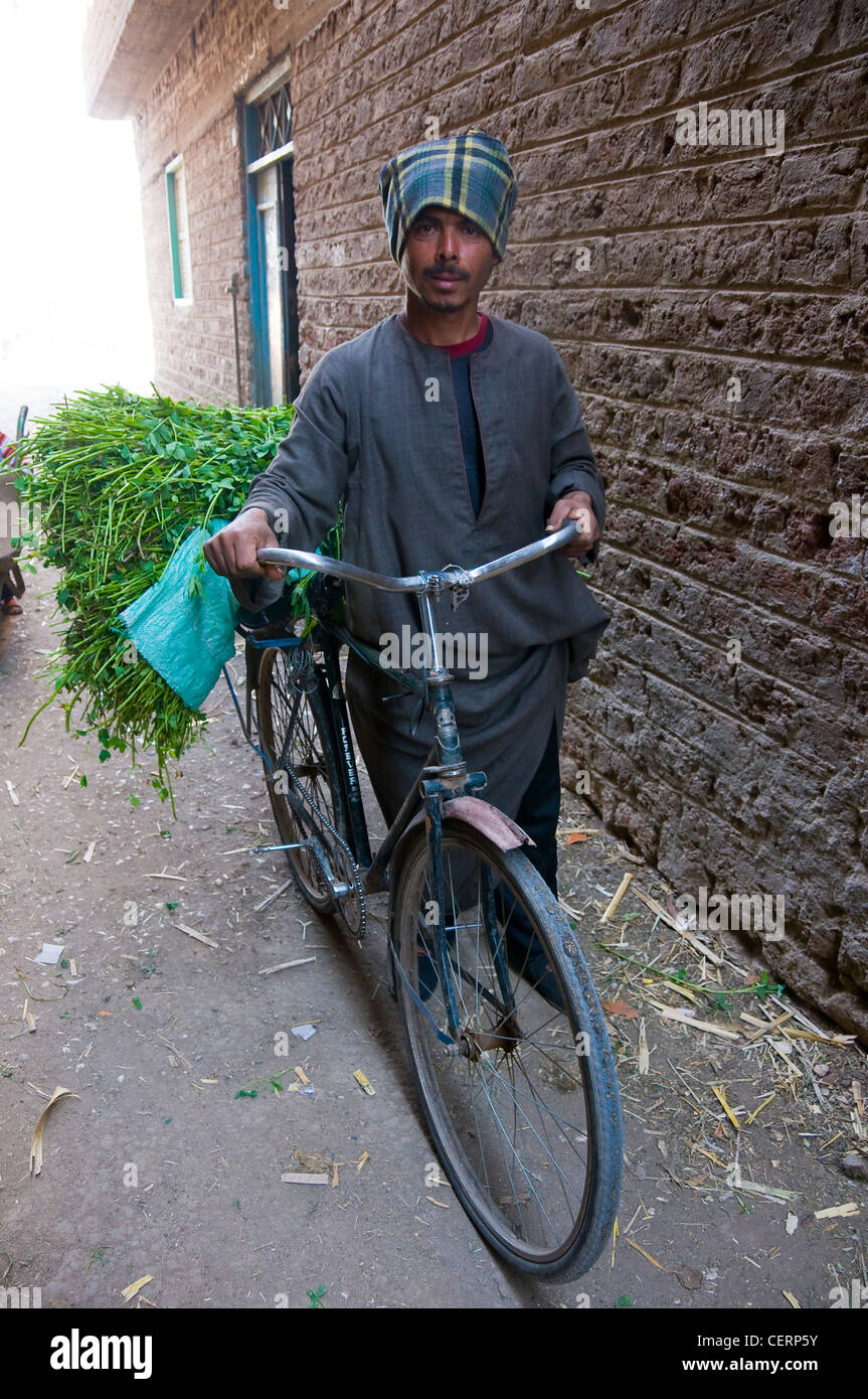 Bauer-Mann mit Fahrrad gehen nach Hause Straßenszene Minya Ägypten Stockfoto