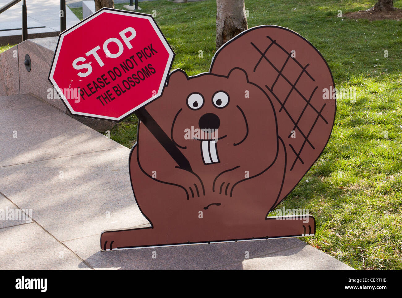 Biber Holding "aufhören, Bitte wählen Sie die Blüten Zeichen nicht an die National Cherry Blossom Festival in Washington, DC. Stockfoto