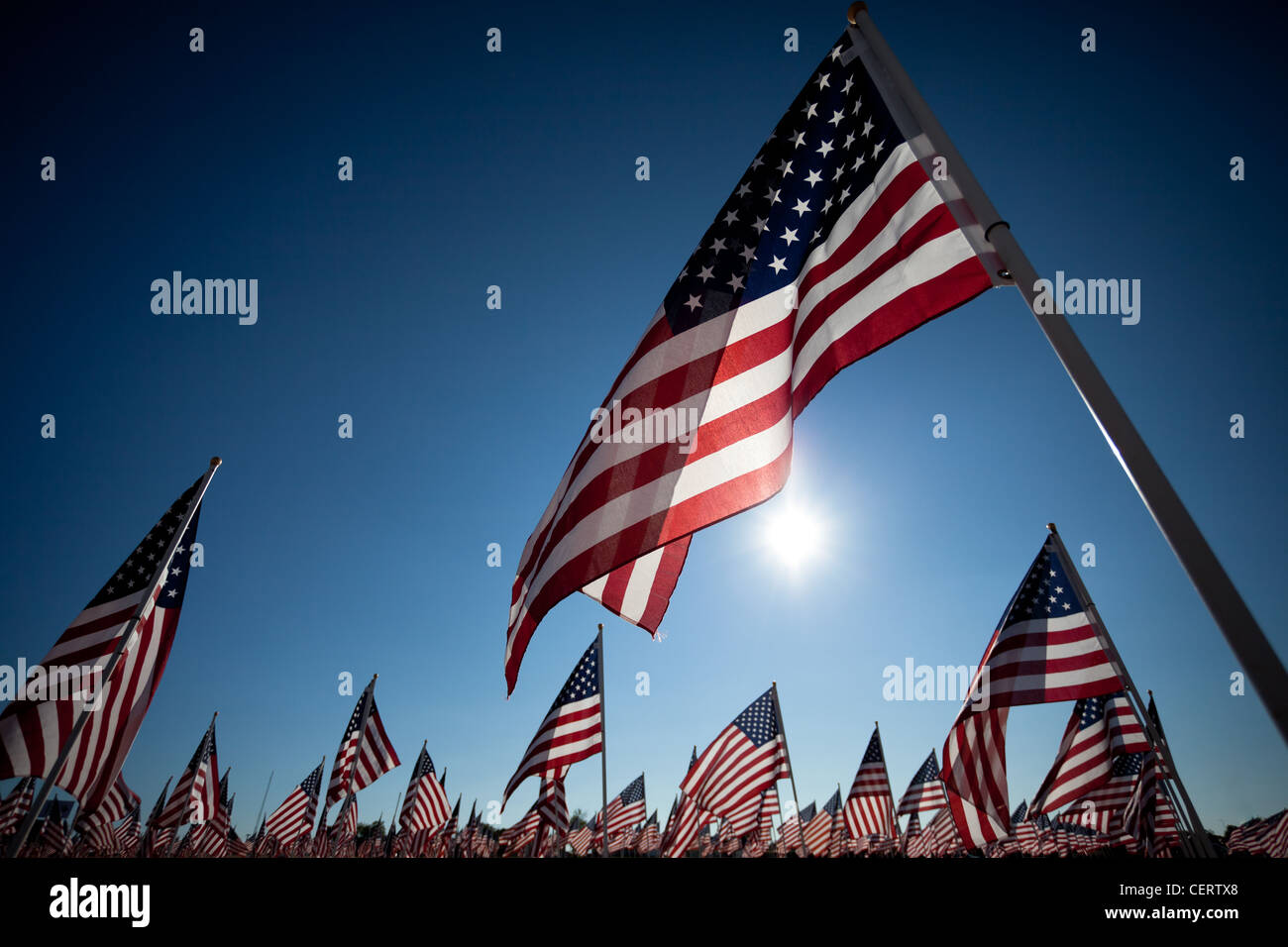 Eine große Gruppe von amerikanischen Flaggen zum Gedenken an Veteranentag, Memorial Day, Nationalfeiertag, Tag der Arbeit.  9/11 Stockfoto