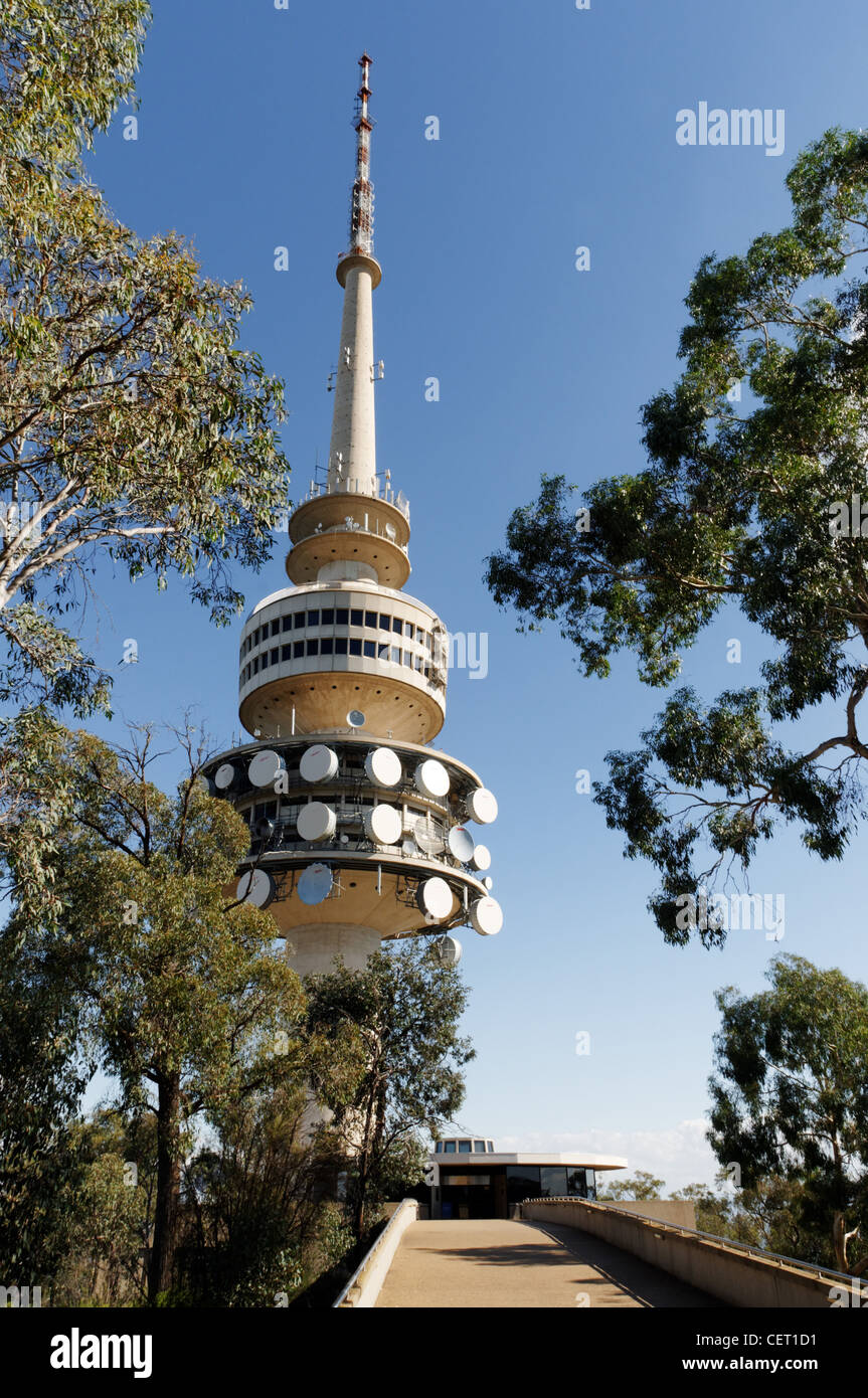 Black Mountain Tower (aka Telstra Tower) in Canberra, Australien Stockfoto