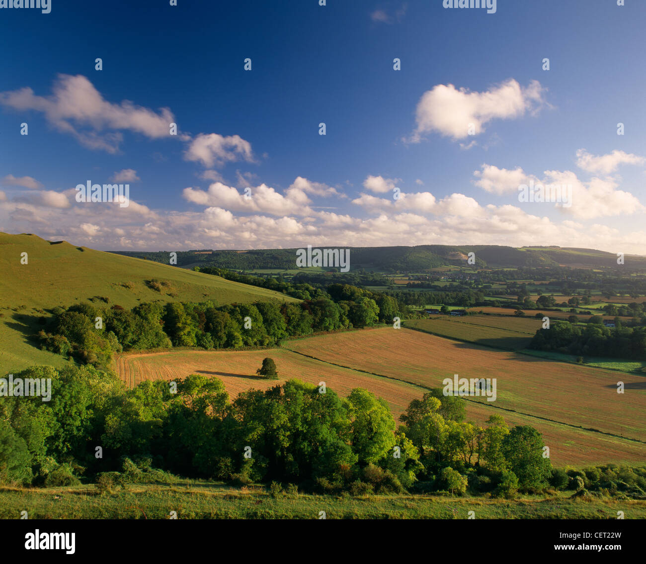 Blick auf Blackmore Vale von Hambledon Hill, Dorset, England, UK Stockfoto