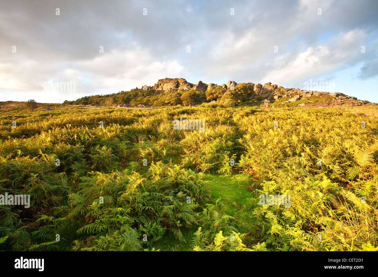 Die Kakerlaken, ein Wind-geschnitzte Felsvorsprung Gritstone Felsen, beleuchtet von warmen Abendlicht im Peak District National Park. Stockfoto