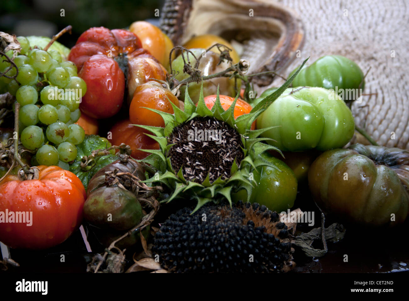 Ein Teller mit faulen Obst und Gemüse Stockfoto