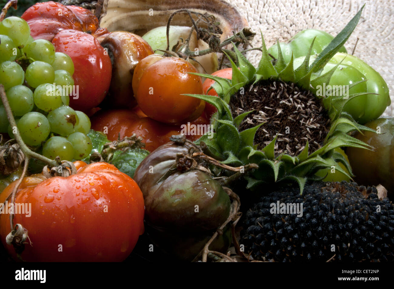 Ein Teller mit faulen Obst und Gemüse Stockfoto