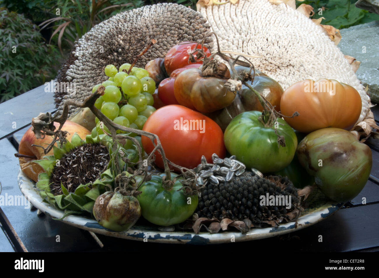 Ein Teller mit faulen Obst und Gemüse Stockfoto