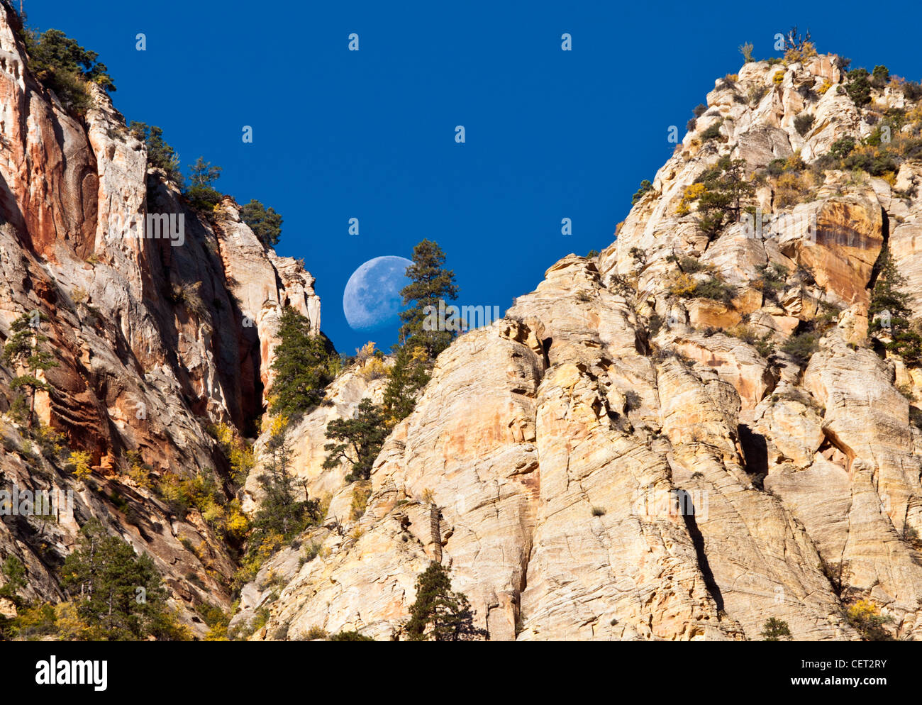 Eine fast volle Mond absteigend zwischen zwei Gipfeln im Zion National Park, Utah, USA. Stockfoto