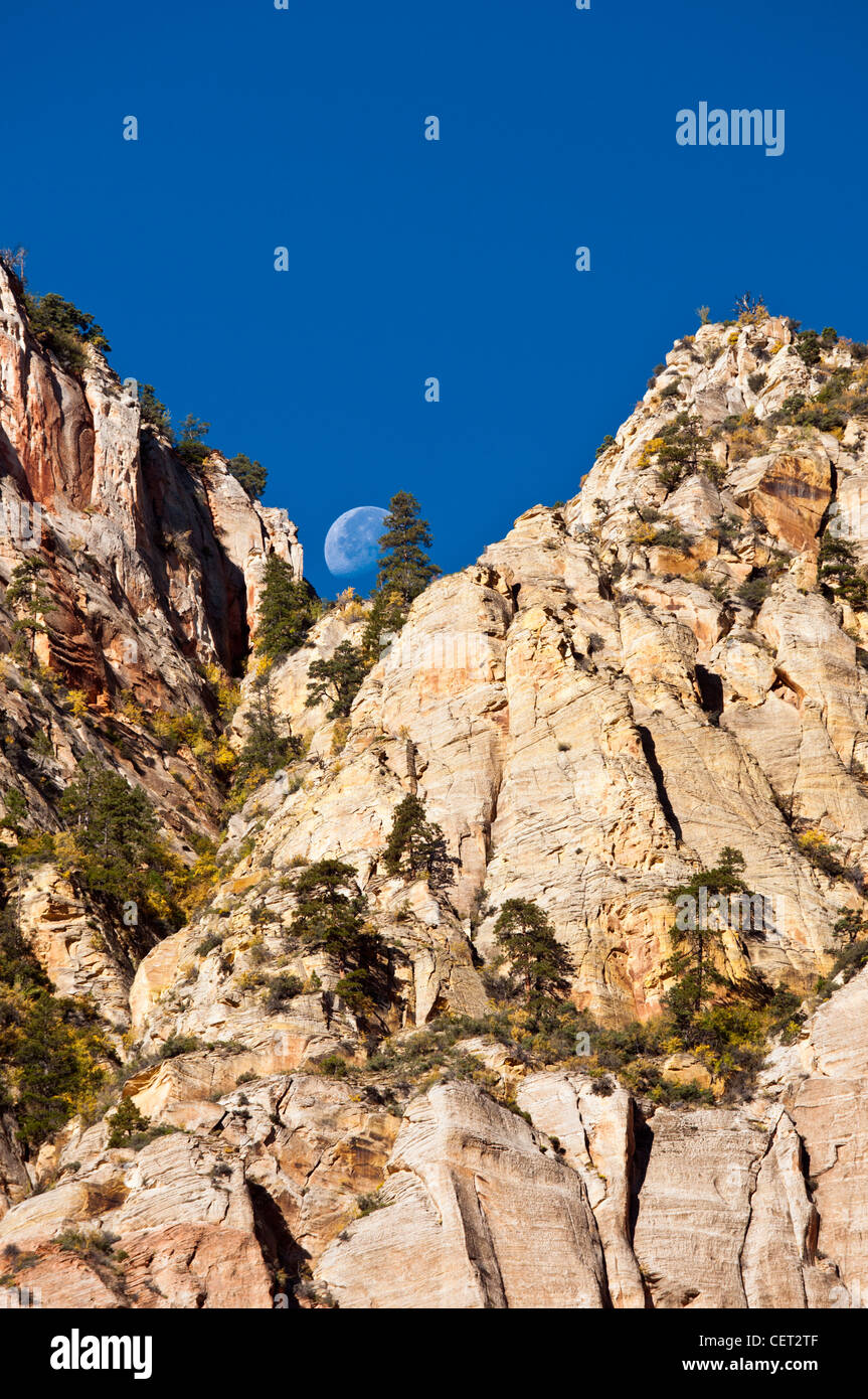Eine fast volle Mond absteigend zwischen zwei Gipfeln im Zion National Park, Utah, USA. Stockfoto