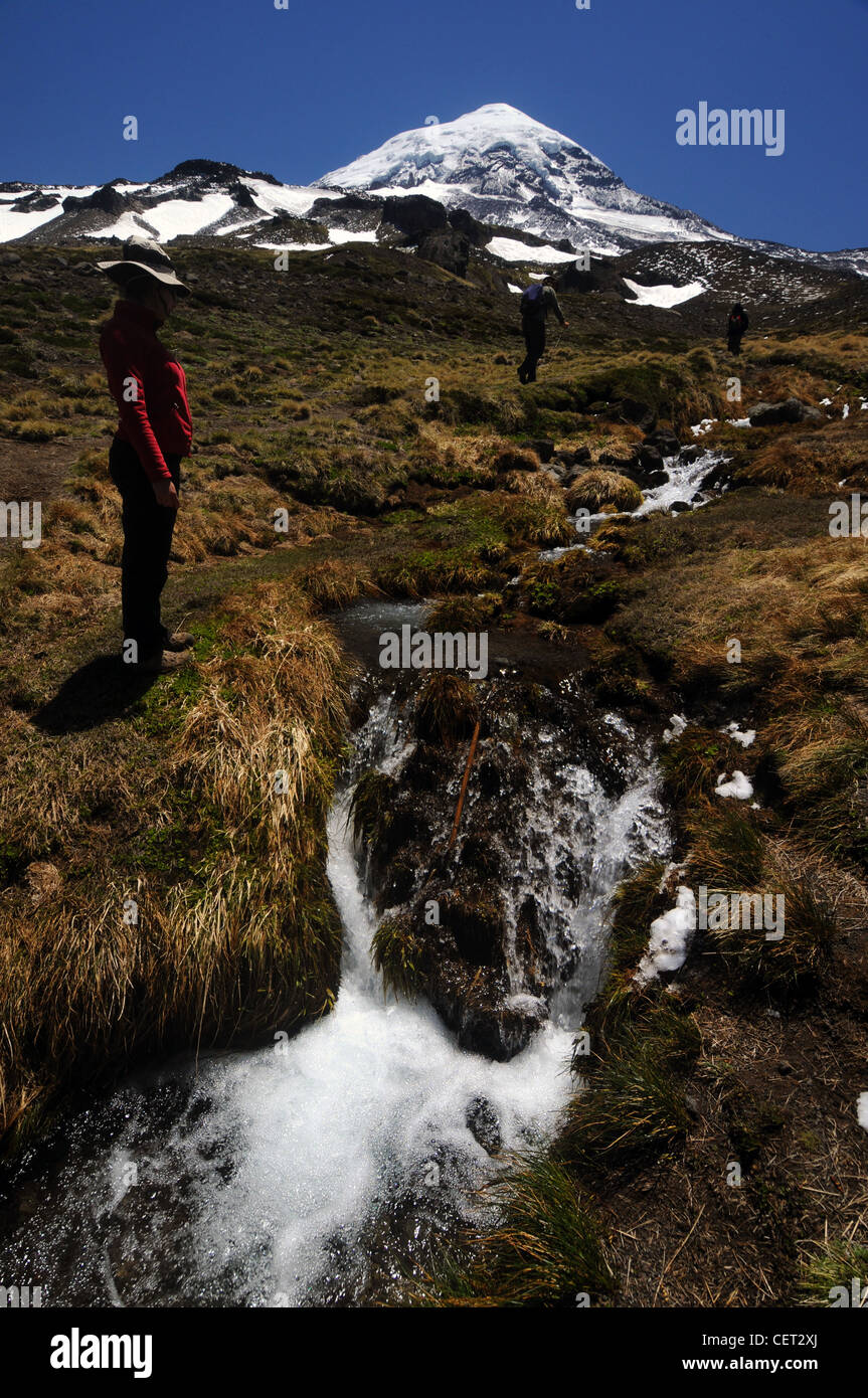 Wanderer an Schneeschmelze Bach liefen Volcan Lanin, Parque Nacional Lanin, Neuquen, Argentinien. Kein Herr Stockfoto