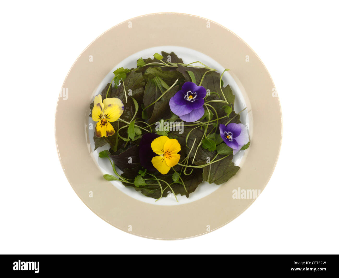 Essbare Blumensalat Stockfoto