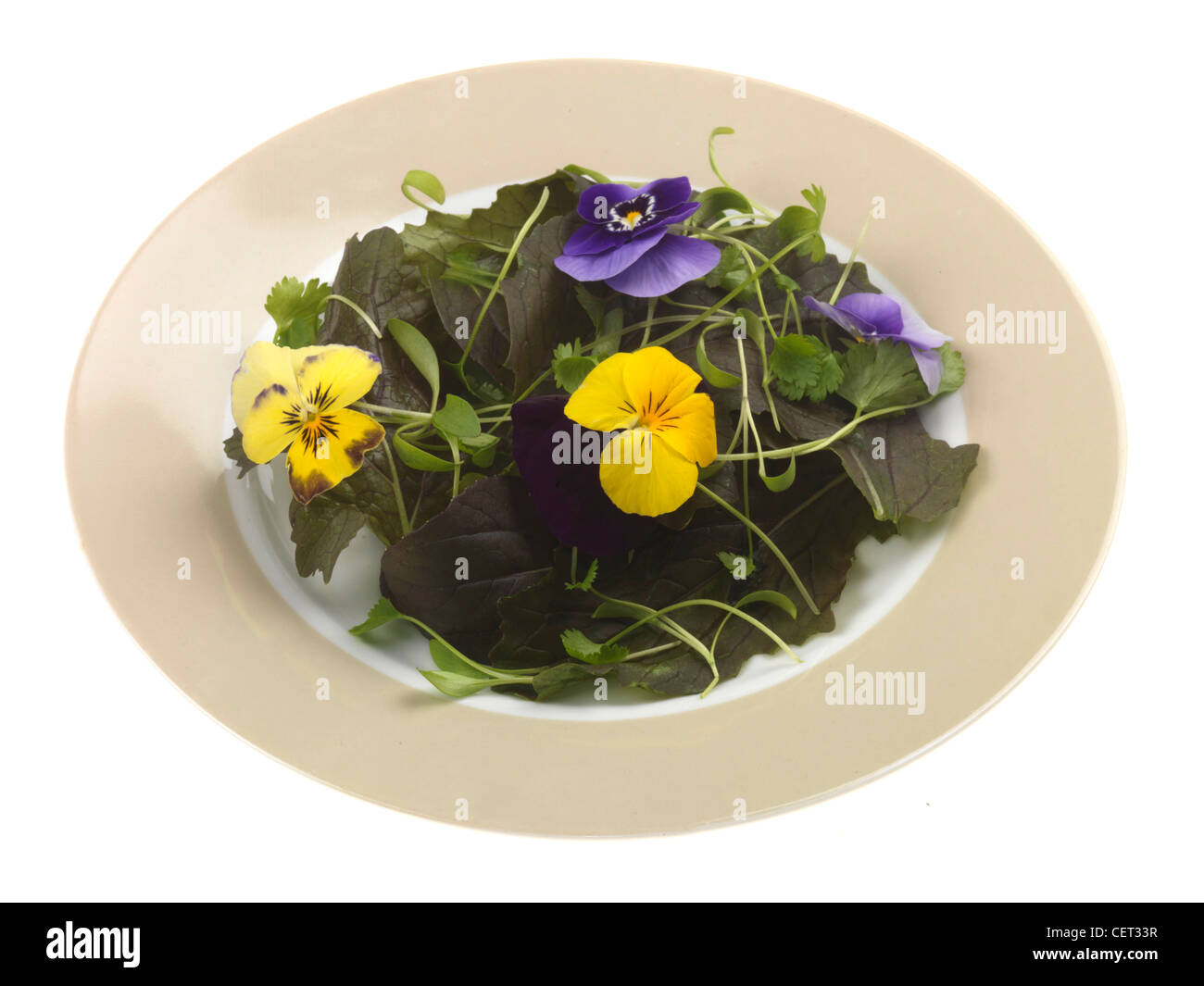Essbare blumen -Fotos und -Bildmaterial in hoher Auflösung – Alamy