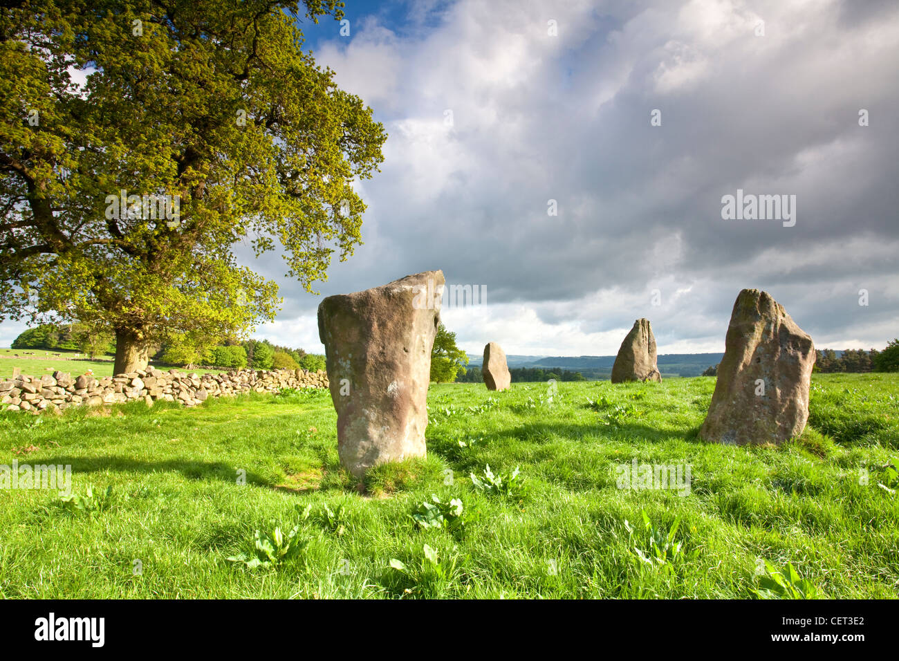 Neun Steinen zu schließen, einen Steinkreis der Bronzezeit auf Harthill Moor. Es gibt nur 4 verbleibenden Steinen von, was einmal ein 45-Fuß-Ci war Stockfoto