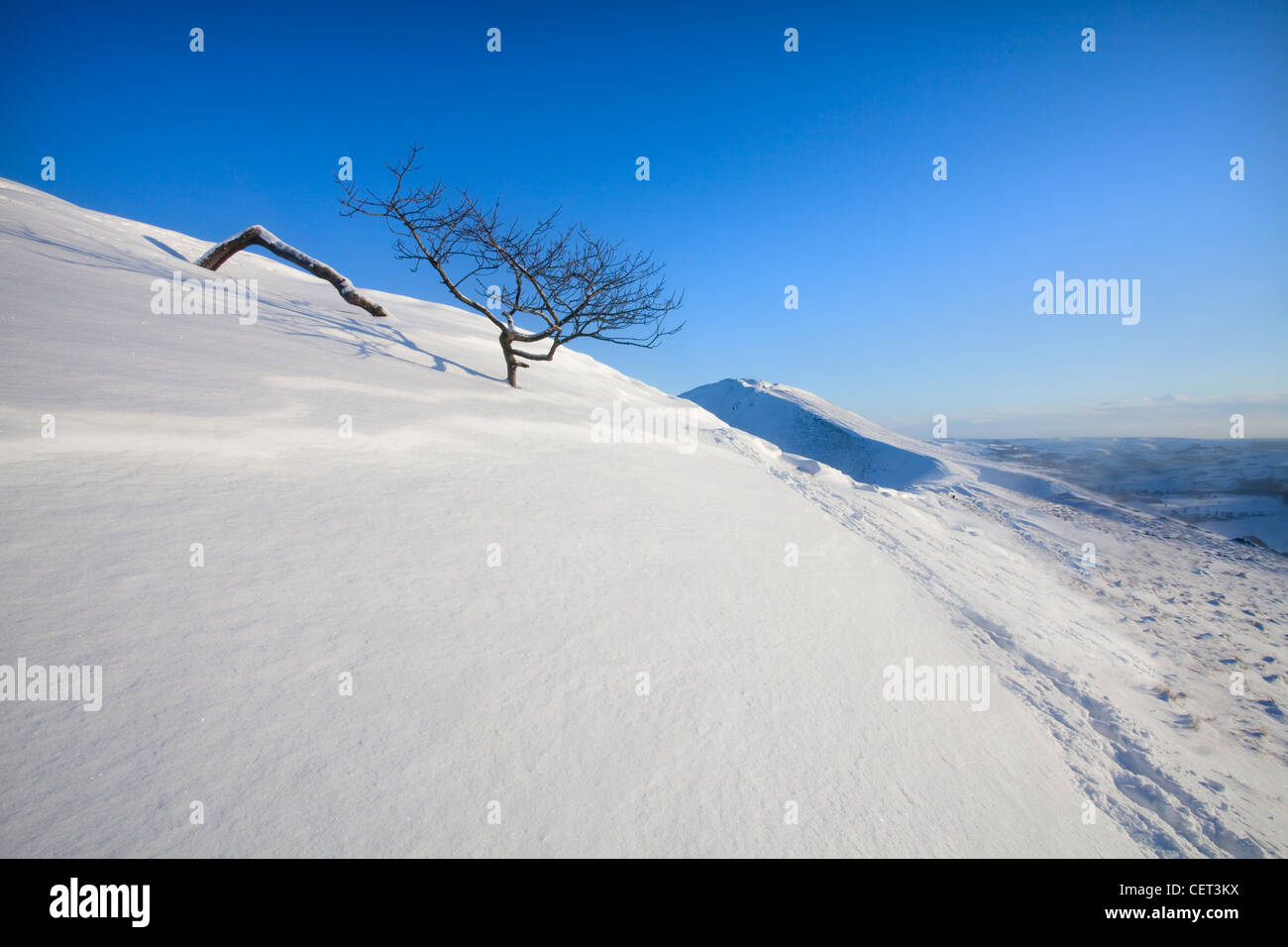 Eine schiefe Hawthorne Baum am Rushup Rand nach einem Schneefall in der Peak District National Park. Stockfoto