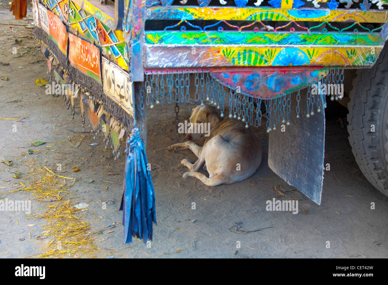 Hund ruht unter einer geschmückten LKW in Islamabad, Pakistan Stockfoto