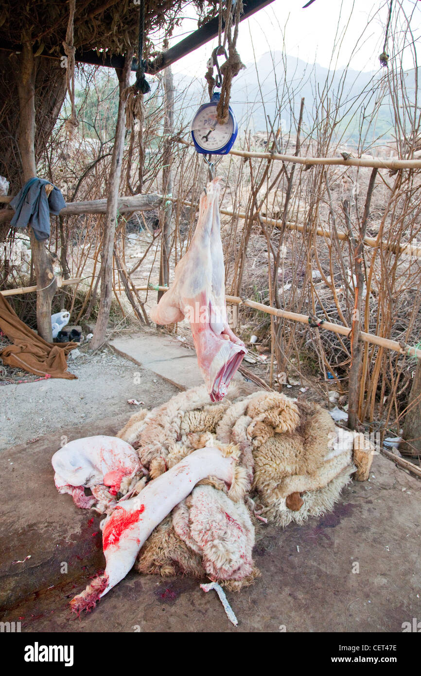 Geschlachteten Schafen in einer Metzgerei in Islamabad, Pakistan Stockfoto