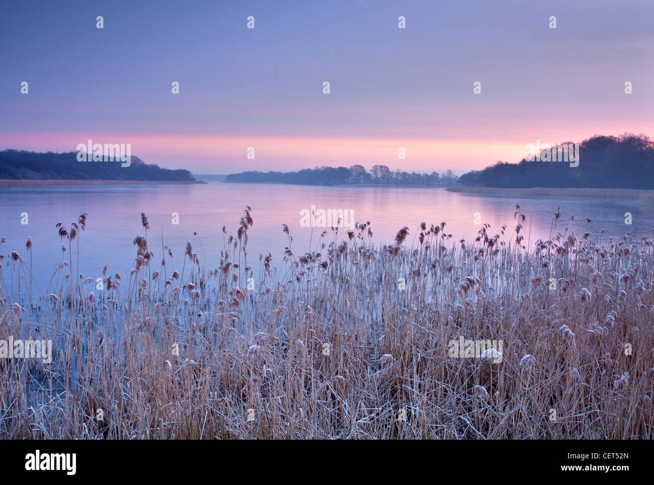 Ormesby breit in der Morgendämmerung mit den umliegenden Schilf und Laub bedeckt in ein Winter-Raureif. Stockfoto