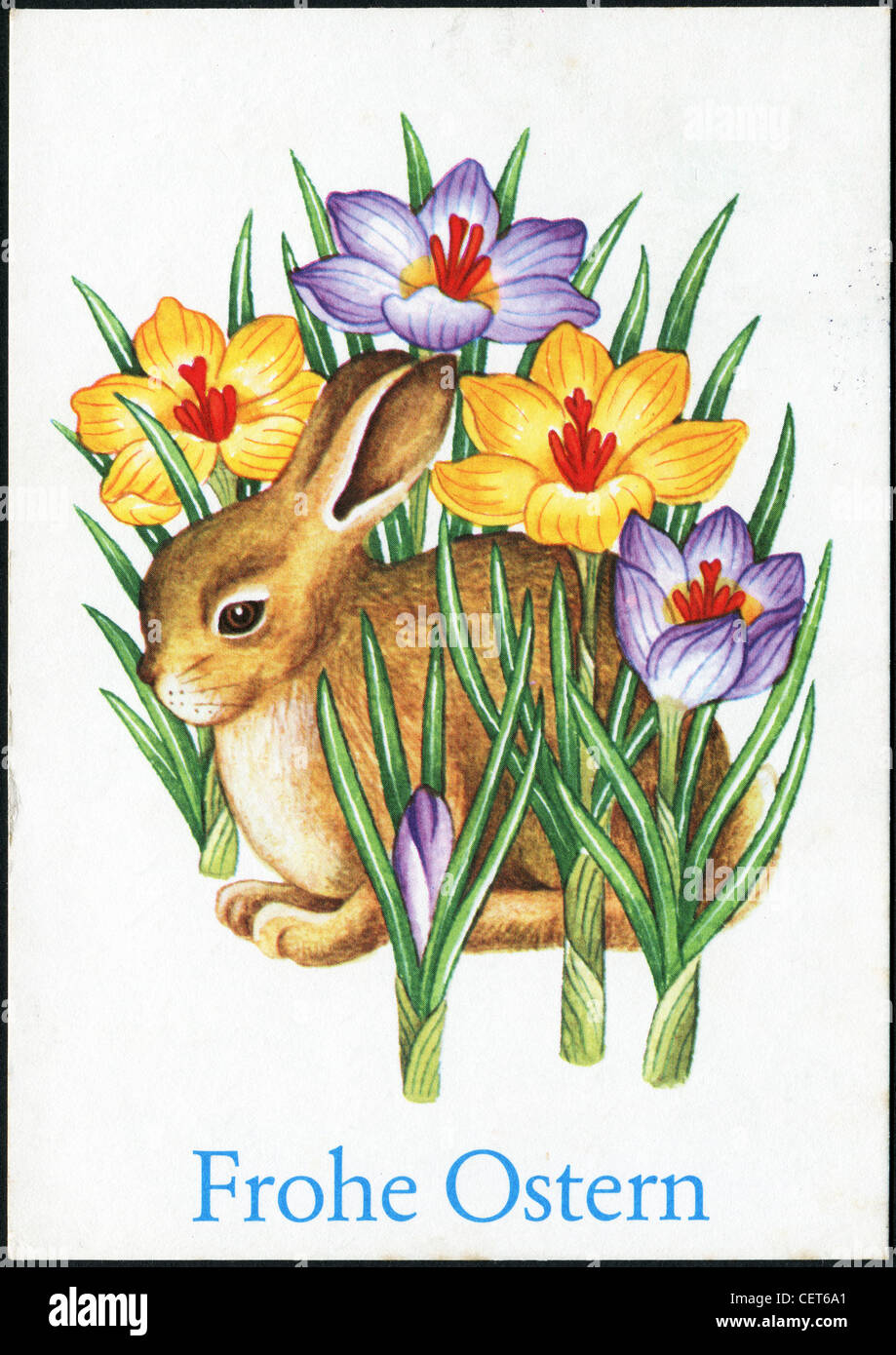 Deutschland-CIRCA 1978: Ostern Postkarte gedruckt in der DDR zeigt eine  Hase in der Wiese, ca. 1978. Deutscher Text: Frohe Ostern! Stockfotografie  - Alamy
