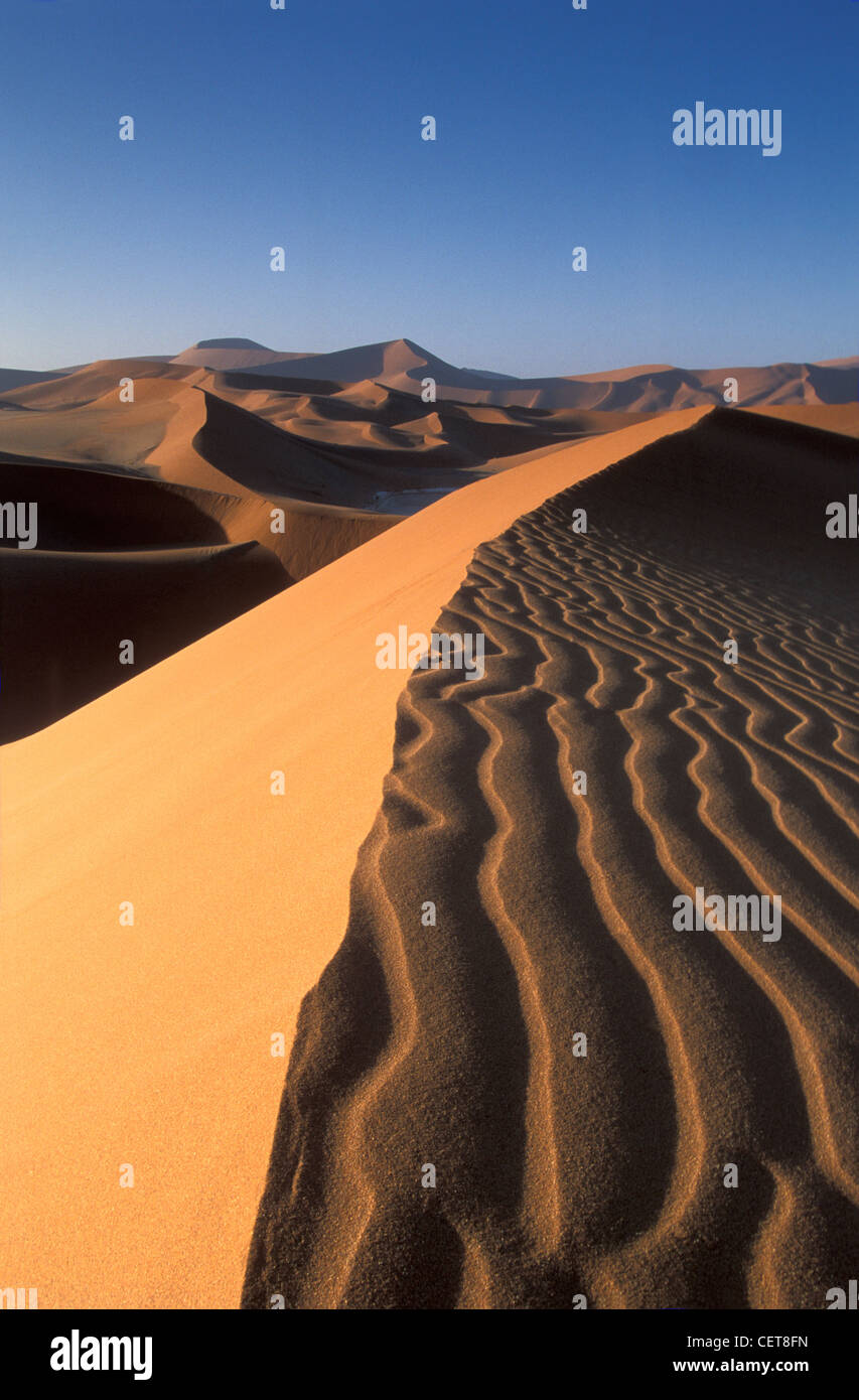 Sanddünen in der Wüste Namib, Namib-Naukluft-Nationalpark, Nr Sossusvlei, Namibia Stockfoto