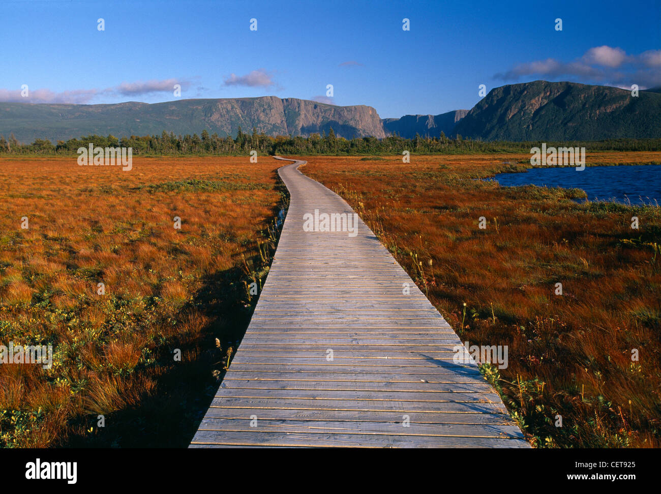 Holzsteg, Gros Morne National Park, Neufundland, Kanada Stockfoto
