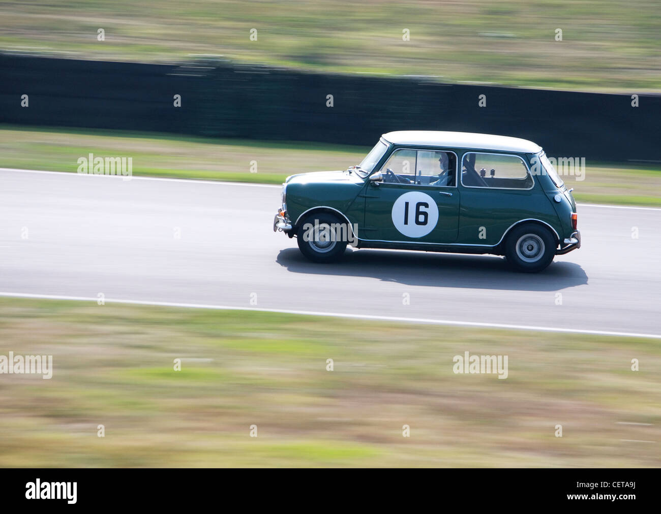 Grün Mini Cooper auf der Rennstrecke beim Goodwood Revival. Stockfoto