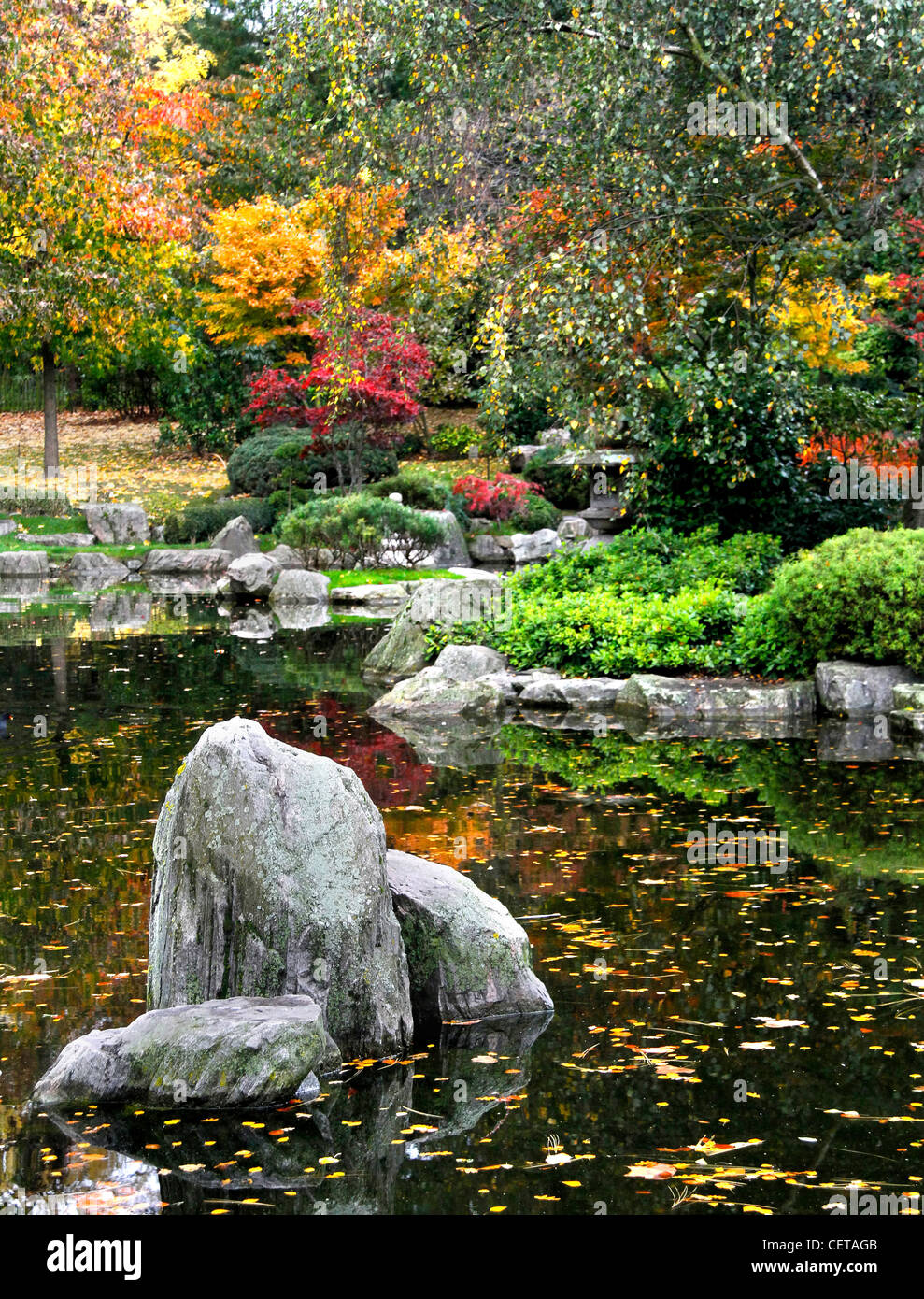 Herbstliche Farben auf dem Display in der Kyoto-Garten in Holland Park. Stockfoto