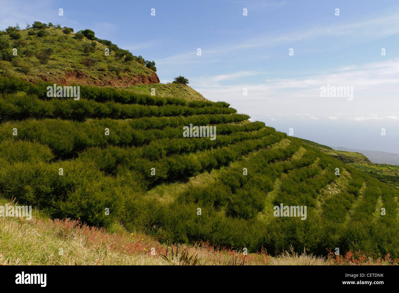 Mittelgebirge, Santo Antao, Kapverdische Inseln, Afrika Stockfoto