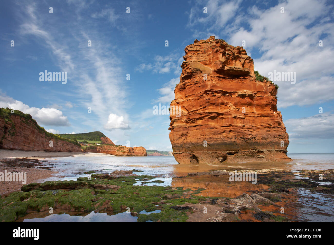Ein Stapel an der Ladram Bucht. Teil der World Heritage Coast, die Stapel von Höhlen zerfressen am Meer zu produzieren gebildet worden Stockfoto