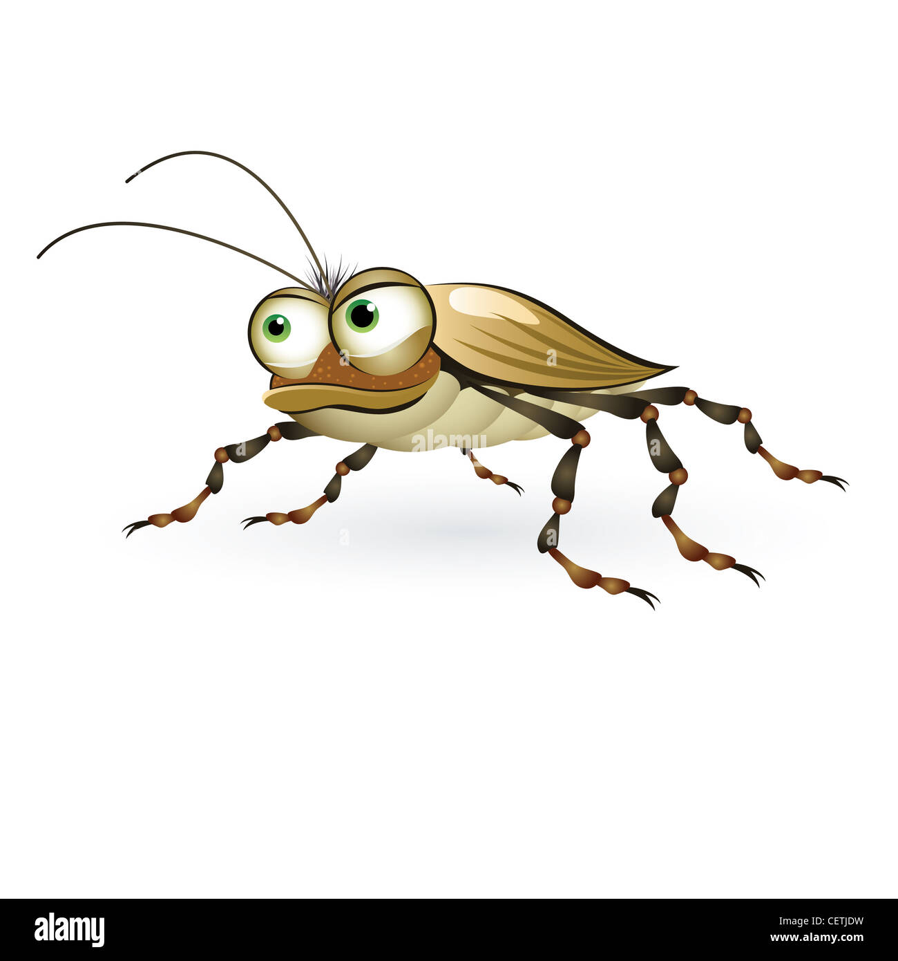 Cartoon-Käfer mit einem geheimnisvollen Blick. Abbildung auf weißem Hintergrund Stockfoto