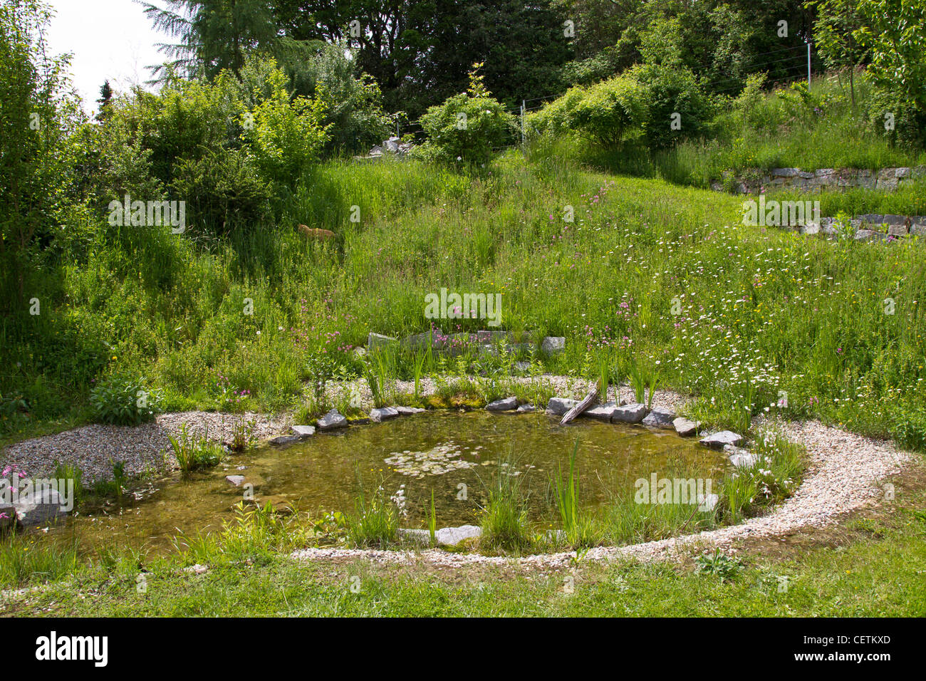 Blumenwiese und teich Stockfotos und bilder Kaufen Alamy