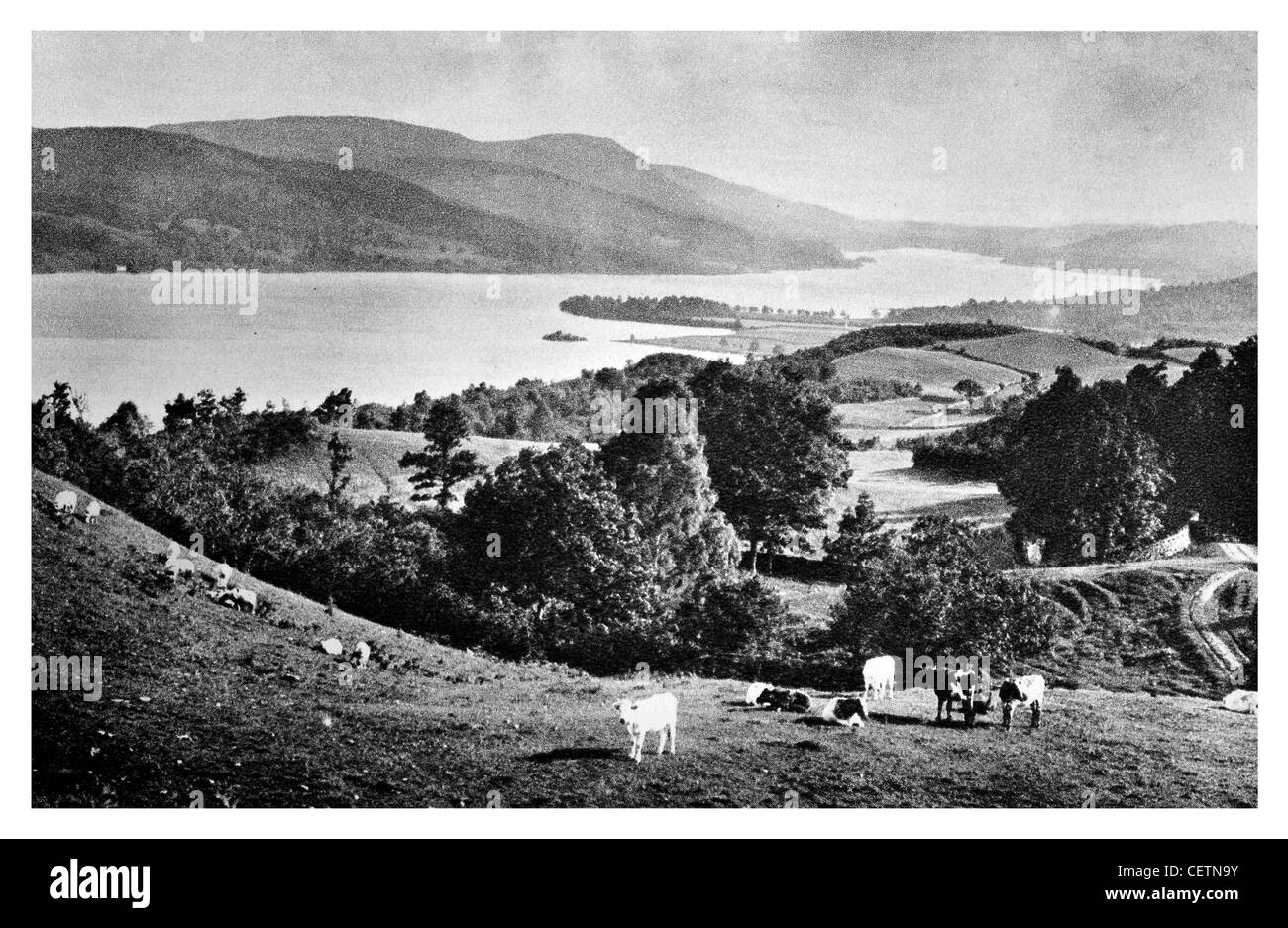 Windermere von oben die Fähre Stockfoto