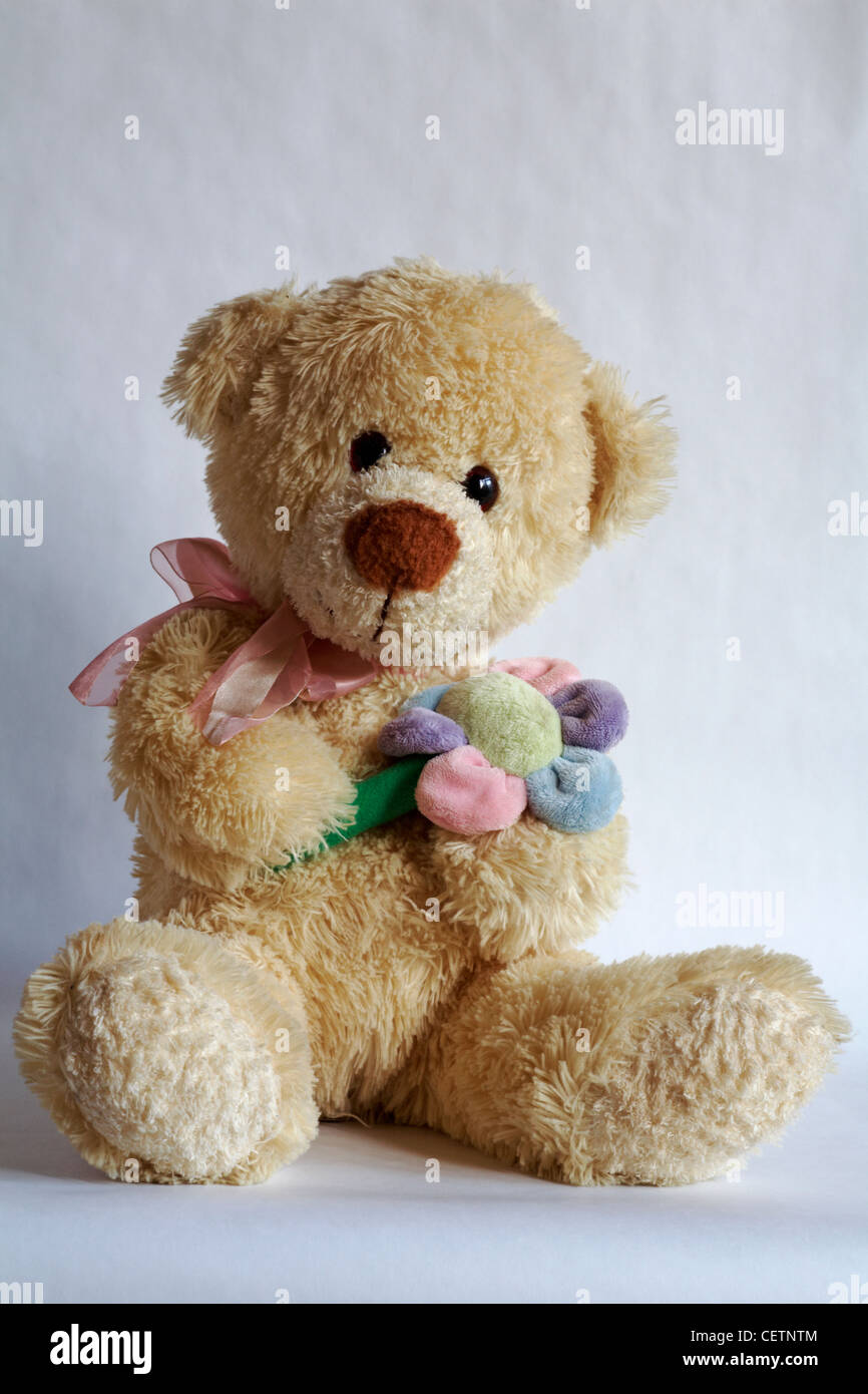 Blume Bär Teddybär weichen Kuscheltier SA holding ein Gänseblümchen isoliert auf weißem Hintergrund Stockfoto