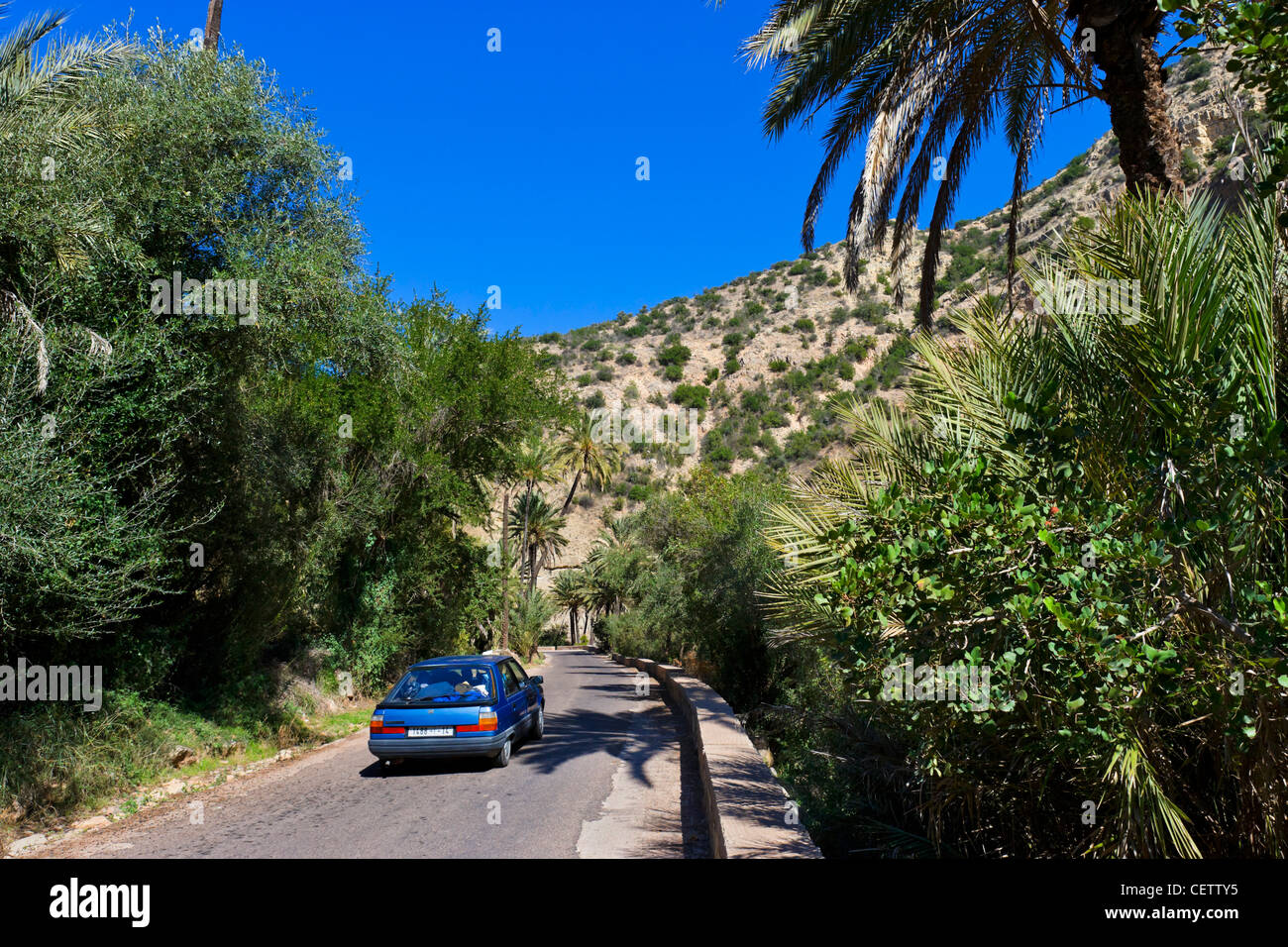 Die 7002 Straße durch Paradise Valley, nördlich von Agadir, Marokko, Nordafrika Stockfoto
