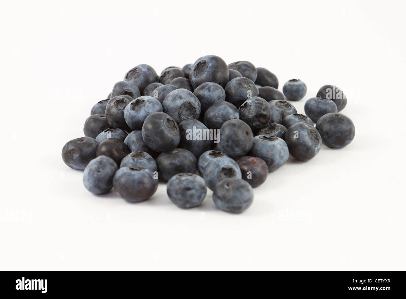 Blaubeeren, Vaccinium Corymbosum, Superfrüchte auf weißem Hintergrund. Stockfoto
