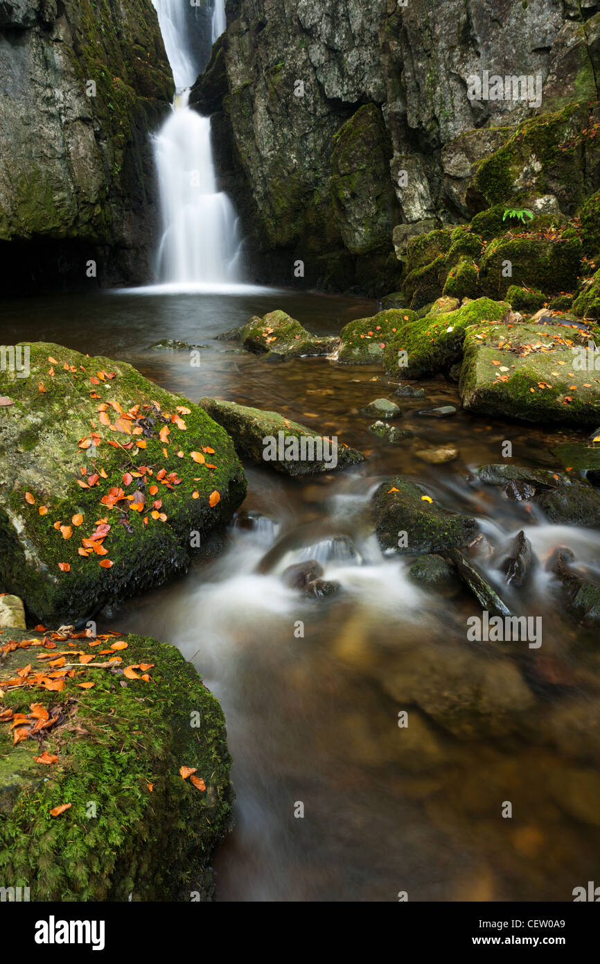 Catrigg Kraft im Stainforth, North Yorkshire Stockfoto