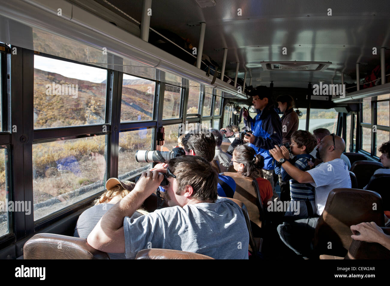 Besucher, die Tiere aus dem Park Bus beobachten. Denali-Nationalpark. Alaska. USA Stockfoto