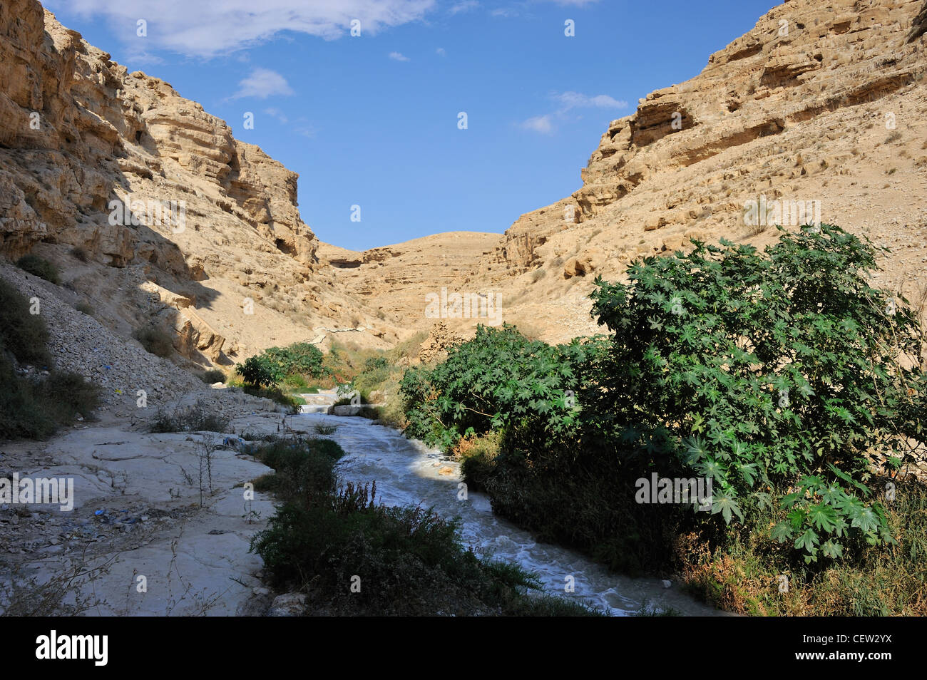 Den Kidron-River-Canyon in der Nähe von Mar Saba-Kloster in der Wüste von Judäa Stockfoto