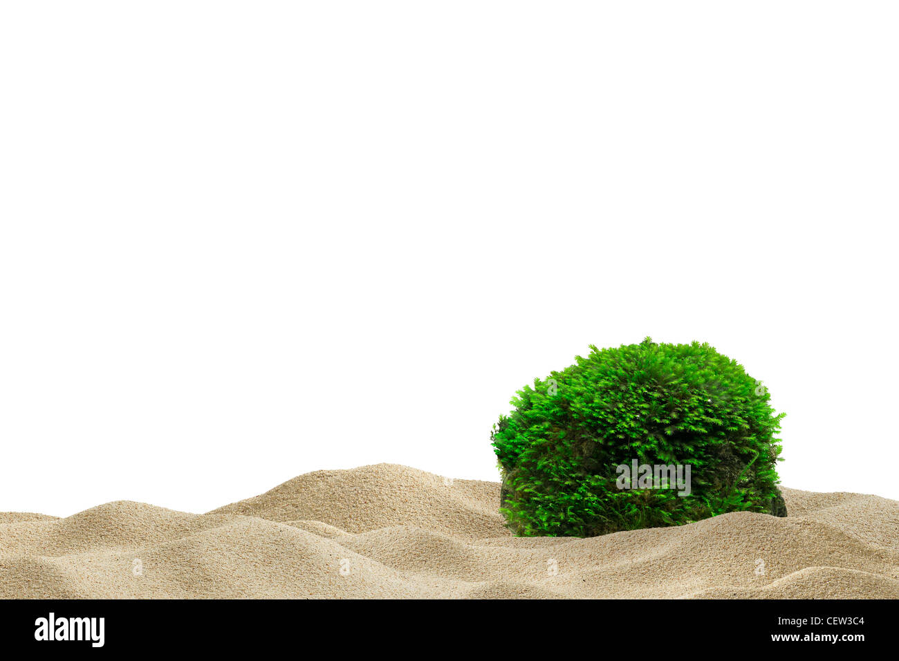 Einfache Aquarium Hintergrund für Fische. Sand und Felsen mit Moos Stockfoto